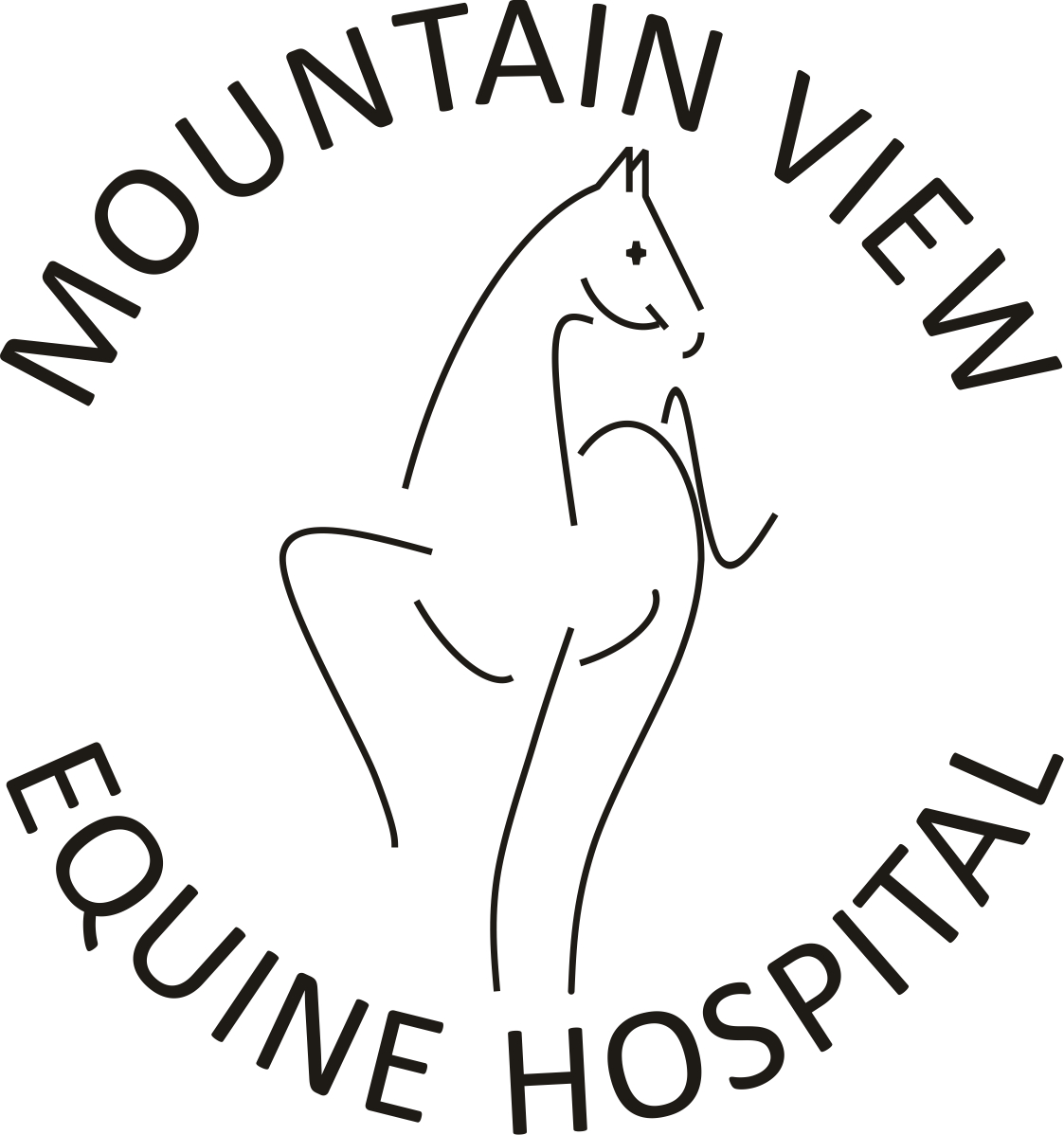 Mountain View Equine Hospital